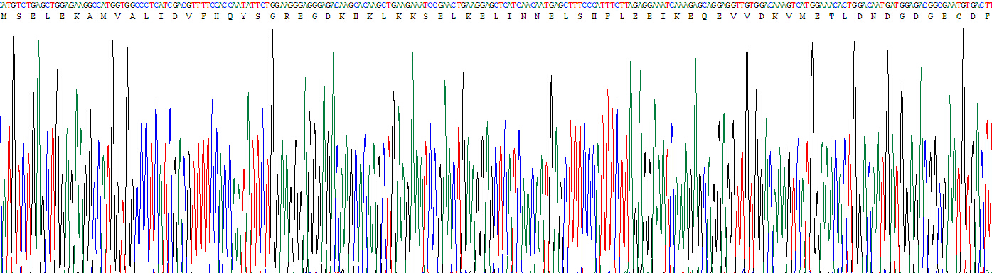 Active S100 Calcium Binding Protein B (S100B)