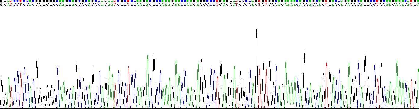 Active Bone Morphogenetic Protein 7 (BMP7)