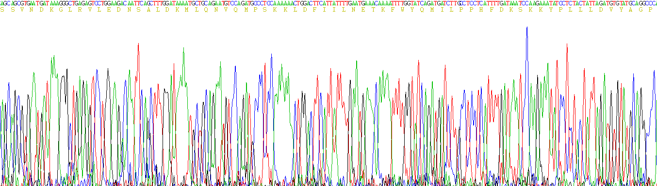 Active Cluster Of Differentiation 26 (CD26)