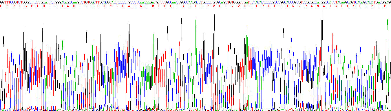 Active Tumor Protein p53 (P53)