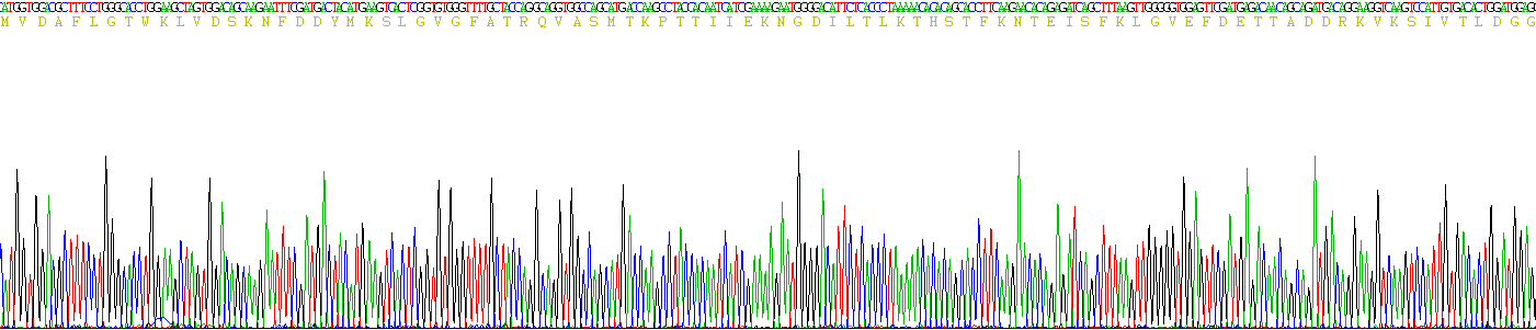 Active Heart-type Fatty Acid Binding Protein (H-FABP)