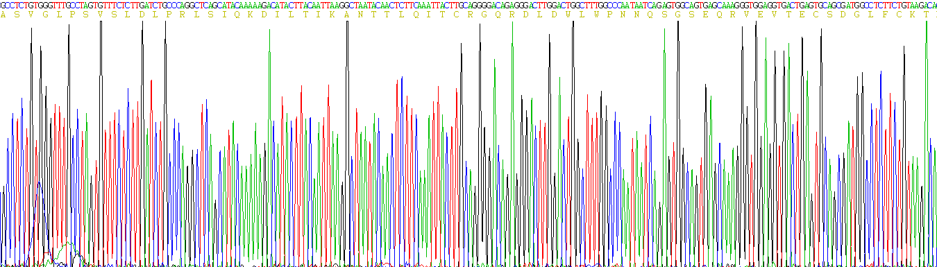 Active Vascular Endothelial Growth Factor Receptor 2 (VEGFR2)