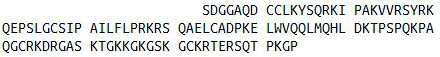 Active Secondary Lymphoid Tissue Chemokine (SLC)