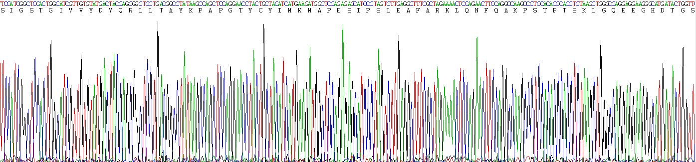 Active Surfactant Protein C (SP-C)