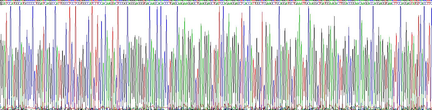 Active S100 Calcium Binding Protein A6 (S100A6)