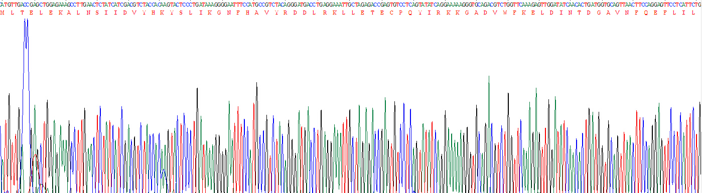 Active S100 Calcium Binding Protein A8 (S100A8)