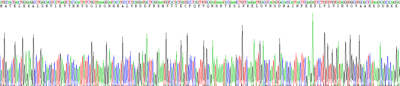 Active S100 Calcium Binding Protein A8 (S100A8)