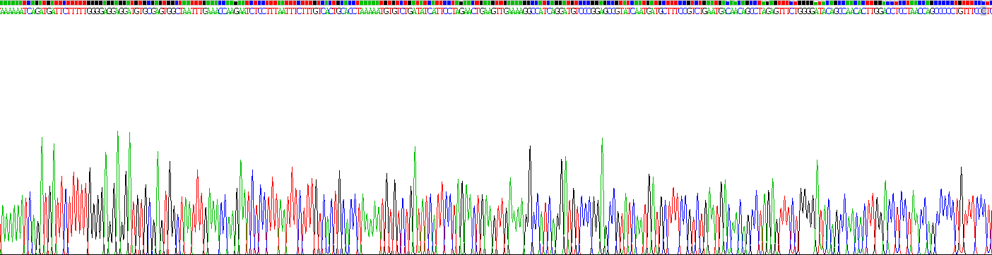 Active Angiotensin I Converting Enzyme 2 (ACE2)