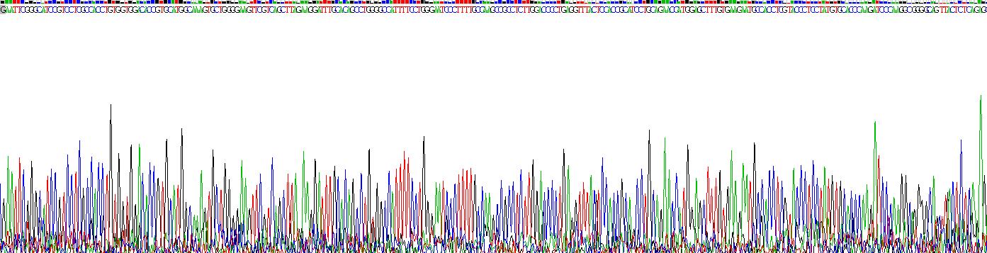 Active Carboxylesterase 1 (CES1)