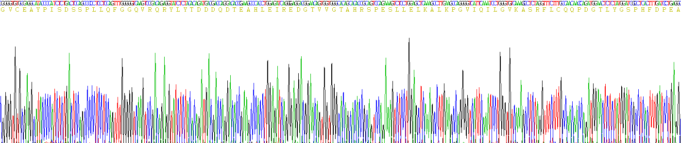 Active Fibroblast Growth Factor 21 (FGF21)