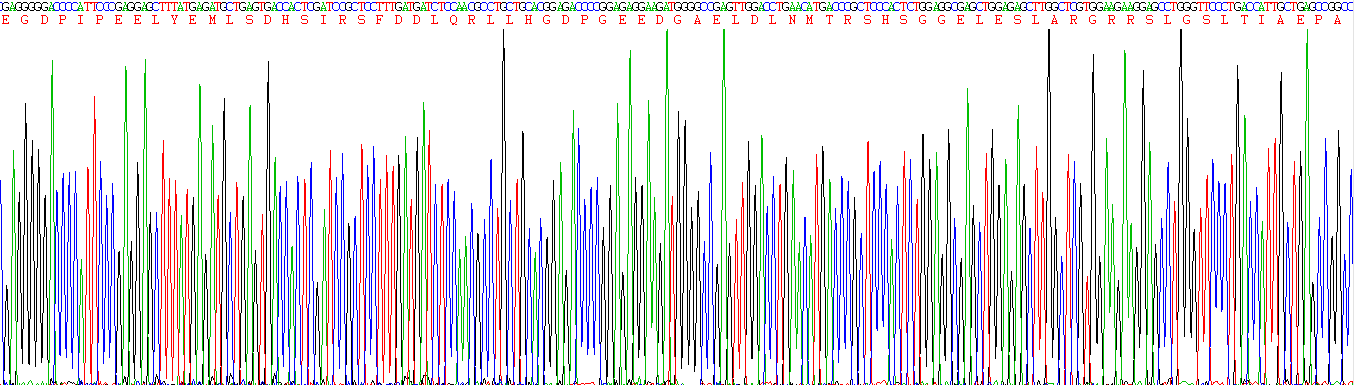 Active Platelet Derived Growth Factor Subunit B (PDGFB)