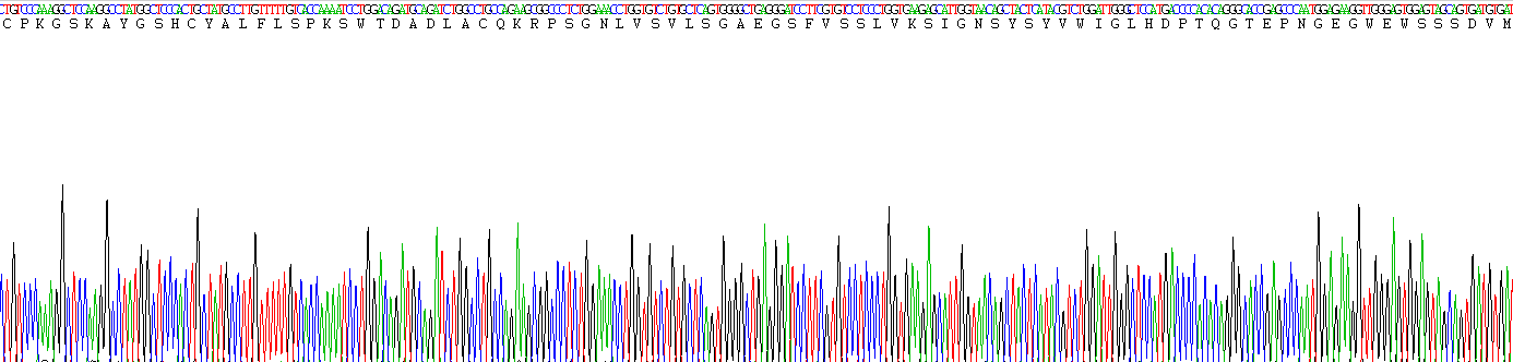 Active Regenerating Islet Derived Protein 3 Alpha (REG3a)