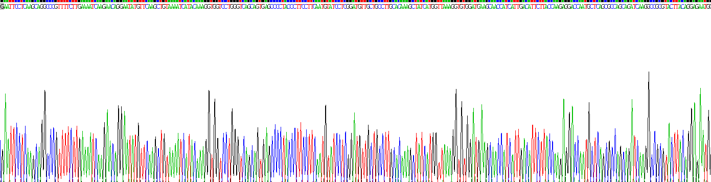 Active Annexin A1 (ANXA1)