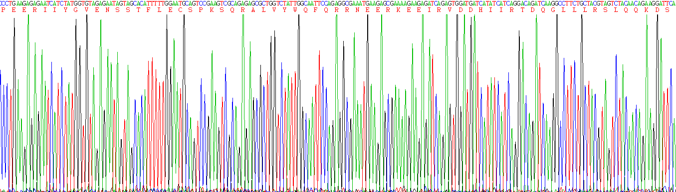 Active Semaphorin 3A (SEMA3A)