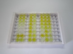 ELISA Kit for Growth Hormone (GH)