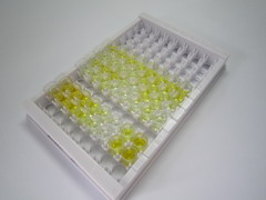 ELISA Kit for Growth Hormone (GH)