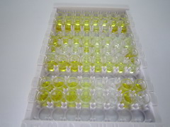 ELISA Kit for Insulin Like Growth Factor Binding Protein 4 (IGFBP4)