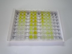 ELISA Kit for Cortisone (Cor)