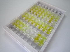 ELISA Kit for Meprin A Alpha (MEP1a)