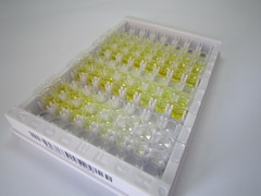 ELISA Kit for Adrenomedullin (ADM)