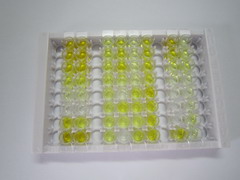 ELISA Kit for Atrial Natriuretic Peptide (ANP)