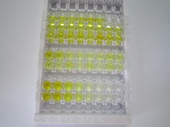 ELISA Kit for Alpha-Melanocyte Stimulating Hormone (aMSH)