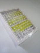 ELISA Kit for Glutathione (GSH)