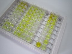 ELISA Kit for Proneurotensin/neuromedin N (ProNT/NMN)