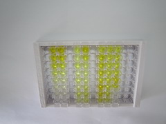 ELISA Kit for Orexin (OX)