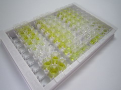 ELISA Kit for Urotensin 2 (UST2)