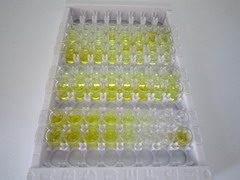 ELISA Kit for Proinsulin (PI)