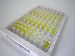 ELISA Kit for Vasoactive Intestinal Peptide (VIP)