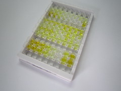 ELISA Kit for Vasoactive Intestinal Peptide (VIP)