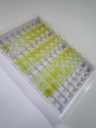 ELISA Kit for Follistatin (FS)