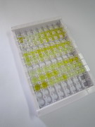 ELISA Kit for Follistatin (FS)