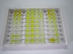 ELISA Kit for Substance P (SP)