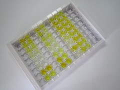 ELISA Kit for Substance P (SP)