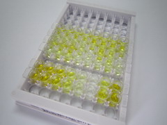 ELISA Kit for Inhibin Alpha (INHa)