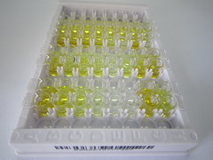 ELISA Kit for Dehydroepiandrosterone (DHEA)