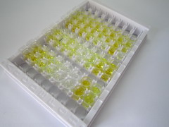 ELISA Kit for Neurokinin A (NKA)