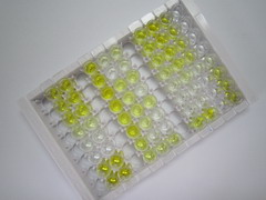 ELISA Kit for Neurokinin A (NKA)