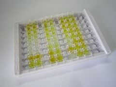 ELISA Kit for Growth Hormone Releasing Hormone (GHRH)