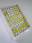 ELISA Kit for Growth Hormone Releasing Hormone (GHRH)