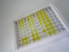 ELISA Kit for Luteinizing Hormone (LH)