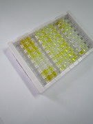 ELISA Kit for Luteinizing Hormone (LH)