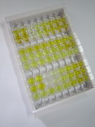 ELISA Kit for Thyroxine (T4)