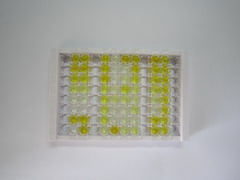 ELISA Kit for Triiodothyronine (T3)