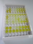 ELISA Kit for Estriol (E3)