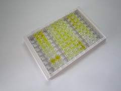 ELISA Kit for Epitestosterone (ET)