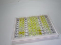 ELISA Kit for Thyroid Stimulating Hormone (TSH)